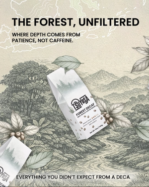 Forest Decaf Coffee (Medium Roast)